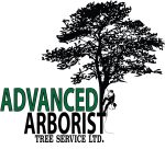 Advanced Arborist Tree Service